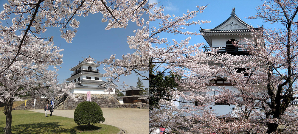 日本,日本自由行,宮城縣,白石市,白石城,益岡公園,一人旅